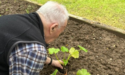 Un progetto di Ortoterapia nella Rsa di Ronco Biellese