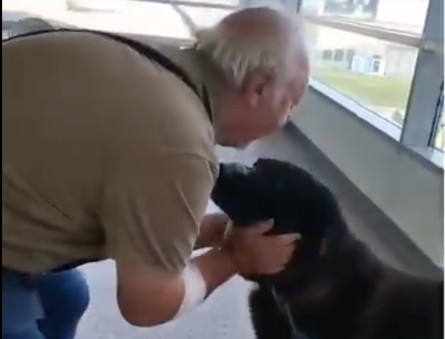 Ospedale di Biella, paziente incontra il suo cane: è emozione pura