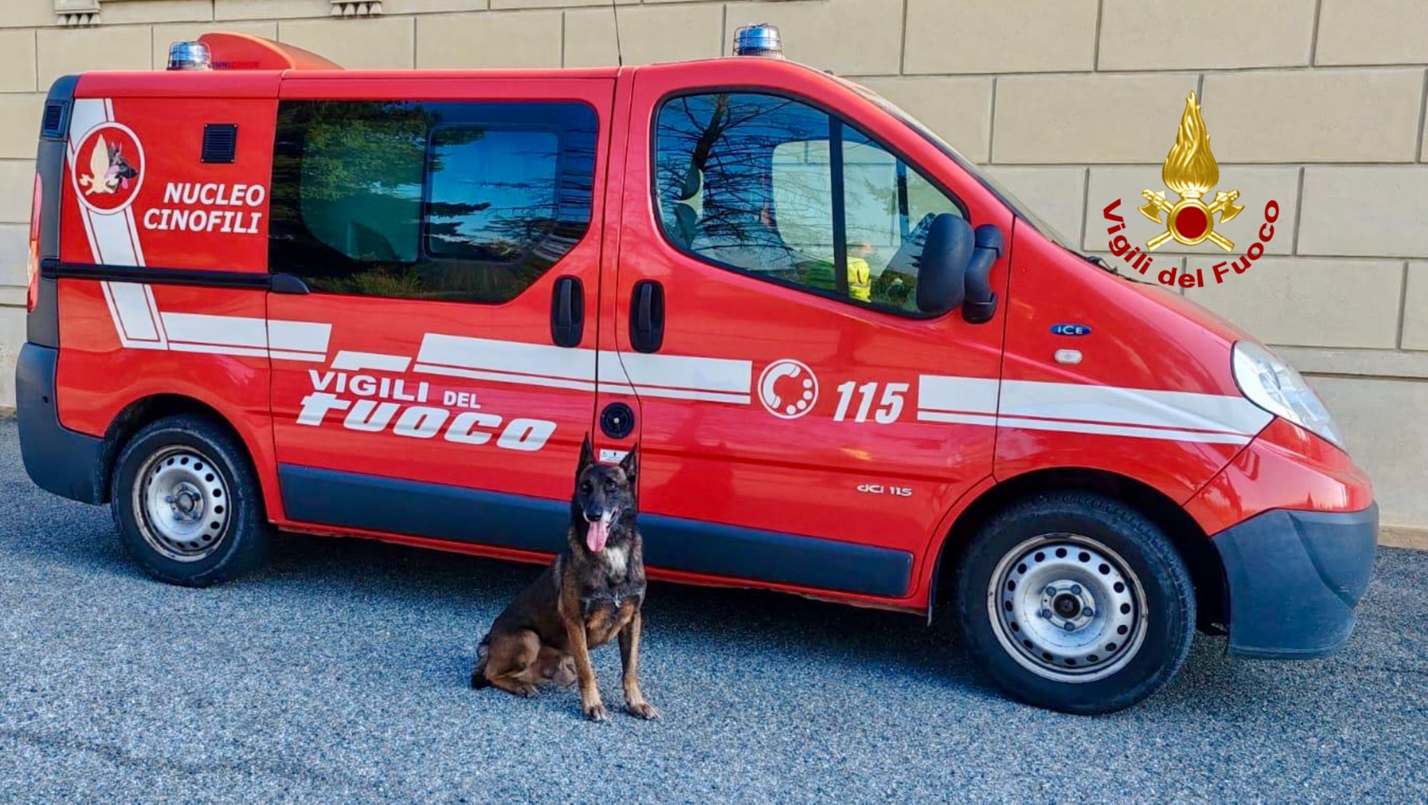 in azione le squadre cinofili di Biella 1