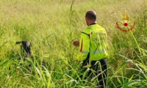 Persona dispersa a San Germano Vercellese, in azione le squadre cinofili di Biella