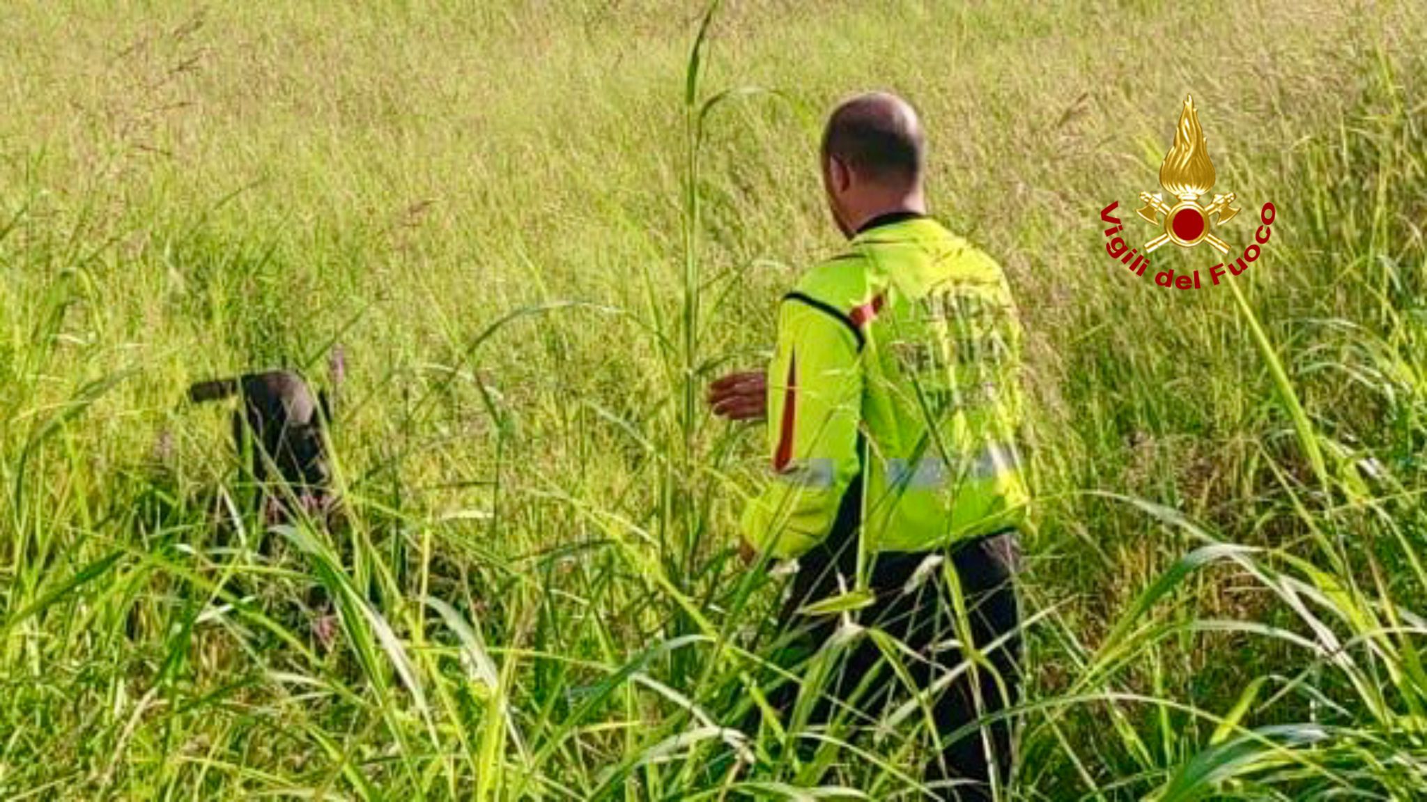 in azione le squadre cinofili di Biella 2