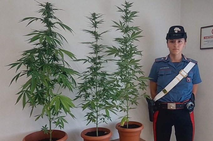 Un “balcone fiorito” da denuncia a Cavaglià