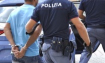 Coltivava marijuana nella mansarda di casa: biellese arrestato