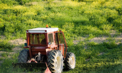 Piomba con il trattore su un tecnico dell'Alpe Guizza e gli distrugge l'attrezzatura