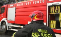 Albero cade sulla carreggiata: coinvolte due auto