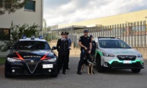 Controlli antidroga, trovato stupefacente addosso a un 32enne in stazione e in piazza del Monte