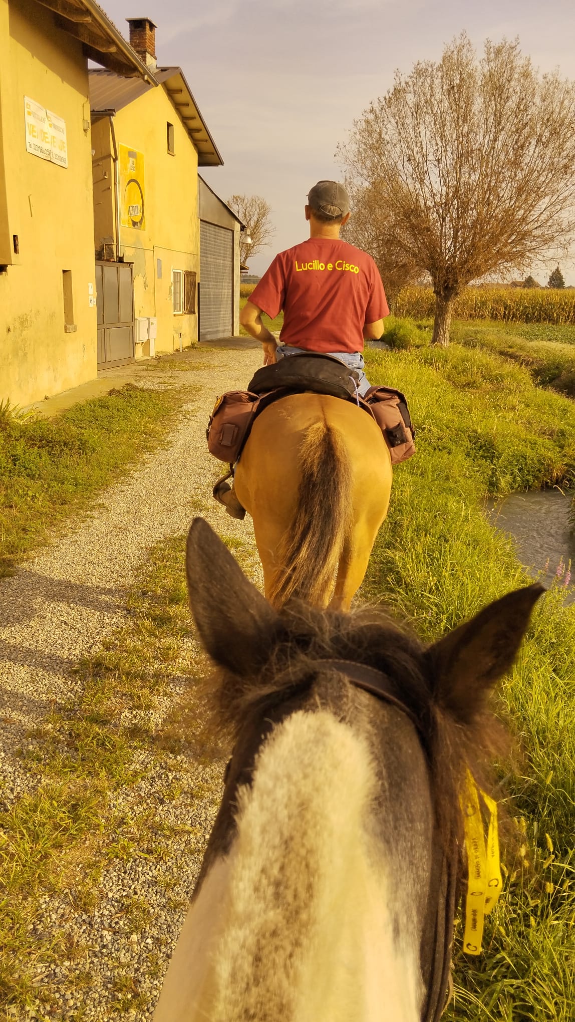 Cammino di Oropa a Cavallo 11