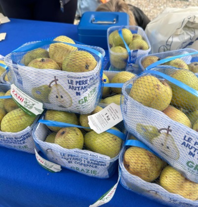 A Biella i gazebo per la Giornata nazionale Abio saranno allestito in via Italia e nel centro commerciale Gli Orsi.