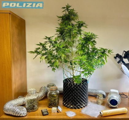 biellese arrestato marijuana mansarda