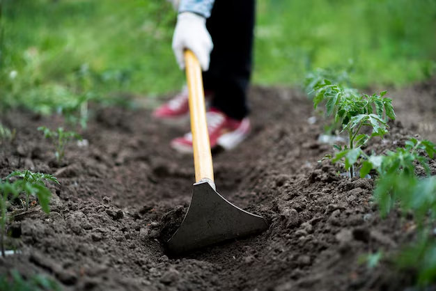 “C’è una bomba in giardino” ma era solo una vecchia valvola