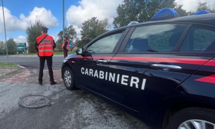 Attrezzi da lavoro rubati nel Lidl di Vigliano Biellese