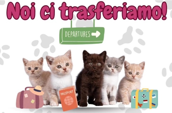 “Gattopoli” fa le valigie e il 26 ottobre inaugura la nuova sede