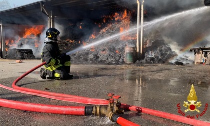 Fiamme in un maneggio di Cavaglià, deposito distrutto, animali messi in salvo