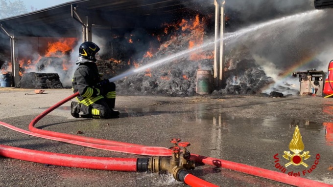 Fiamme in un maneggio di Cavaglià, deposito distrutto, animali messi in salvo