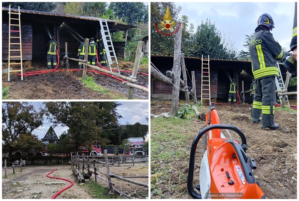 Fiamme in un maneggio, tutti in salvo i cavalli