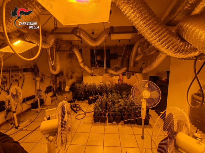 Piante di marijuana nell’appartamento in affitto in Valle Cervo. Arrestato  30enne con tre chili d’erba