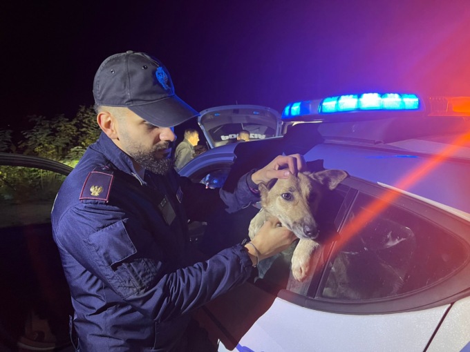 Due cani abbandonati salvati dagli Agenti della Squadra volante
