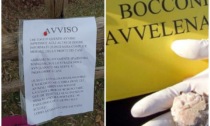 Un biglietto sconvolgente: "Chi toglie questo avviso sarà complice della morte dei cani"