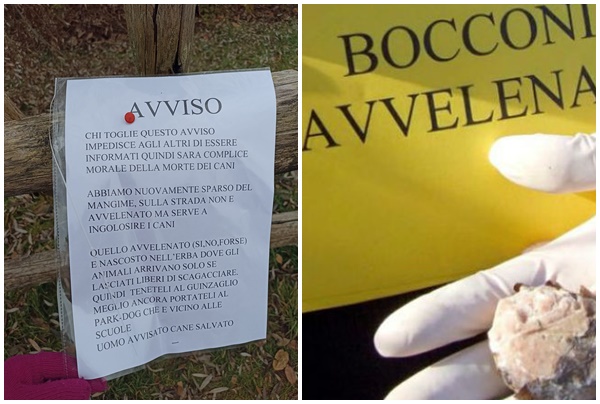Un biglietto sconvolgente: “Chi toglie questo avviso sarà complice della morte dei cani”
