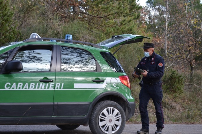 Pecora morta in un sacco abbandonata lungo la strada