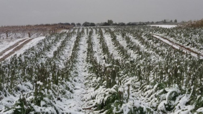 Meteo Biella: settimana variabile fra pioggia, freddo e sole