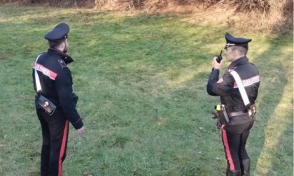 Carabinieri in azione contro lo spaccio nei boschi, denunciati due acquirenti