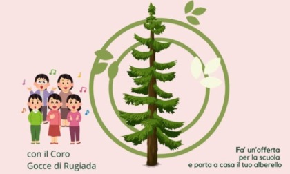 Domani in città la cerimonia di "Adotta un albero"