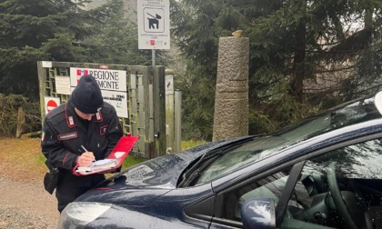 Aggressione da parte di cani nel Parco della Burcina: identificati i responsabili