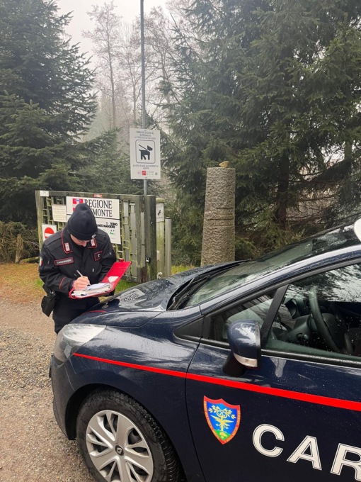 Aggressione da parte di cani nel Parco della Burcina: identificati i responsabili