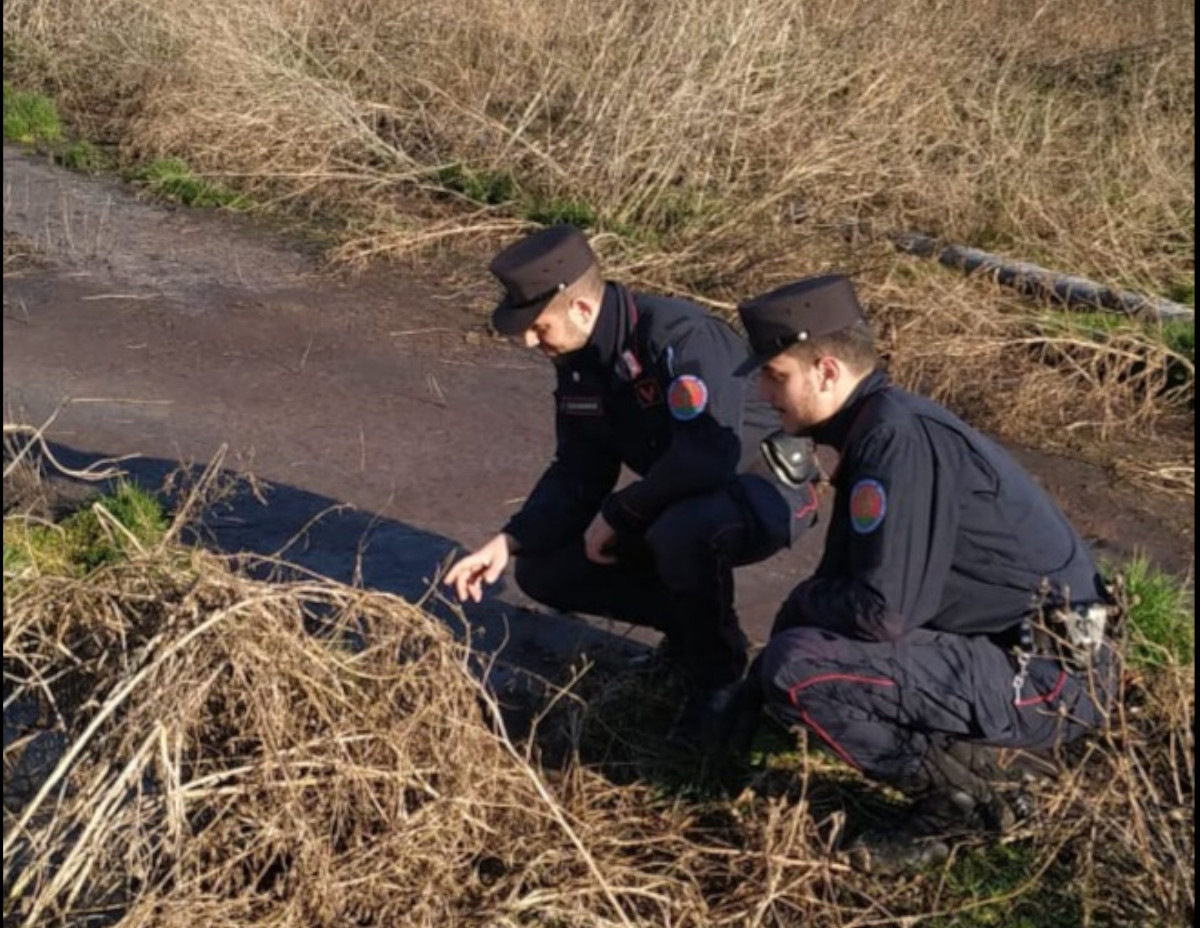 20250211 sanzione_amministrativa _forestale_deviazione_acqua2