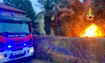 I vigili del fuoco spengono un boschetto in fiamme a Biella