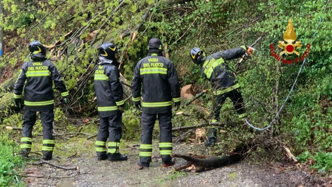 Alberi pericolanti dopo le recenti piogge: al lavoro i Vigili del Fuoco