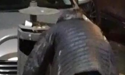 Ubriaco molesto all’alba in via Macallé: urla e caos tra i passanti