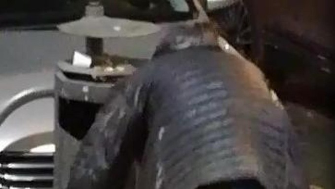Ubriaco molesto all’alba in via Macallé: urla e caos tra i passanti
