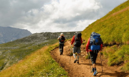 Al via il nuovo corso gratuito di Città Studi per accompagnatore naturalistico