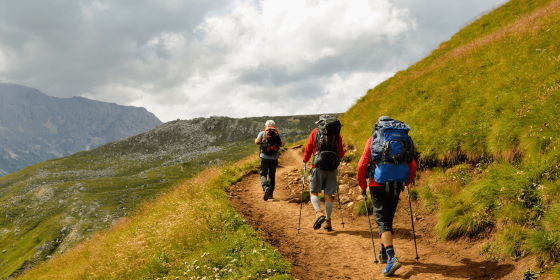 Al via il nuovo corso gratuito di Città Studi per accompagnatore naturalistico