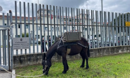 Biella in festa: le immagini dall’Adunata degli Alpini