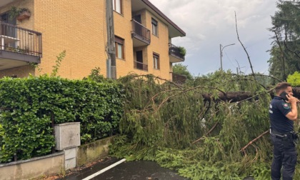 Grandine e pioggia torrenziale: danni a colture e strutture nel Biellese