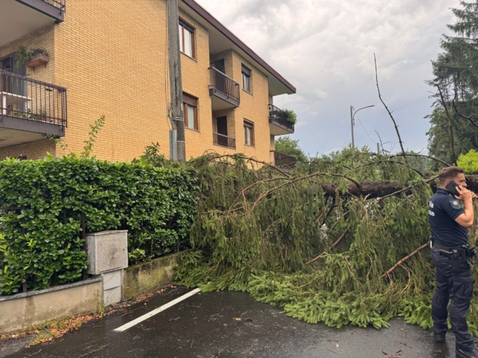 Grandine e pioggia torrenziale: danni a colture e strutture nel Biellese