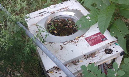 Lavatrice abbandonata nel verde tra Quaregna Cerreto e Valle Mosso: la denuncia di un lettore