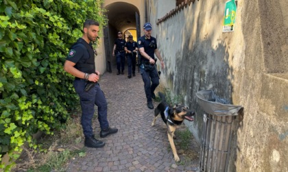 Controlli straordinari nei parchi cittadini: unità cinofila in azione