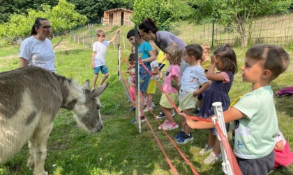 La nuova vita di Romina e Giacomo al "Raglio del Cascinetto”