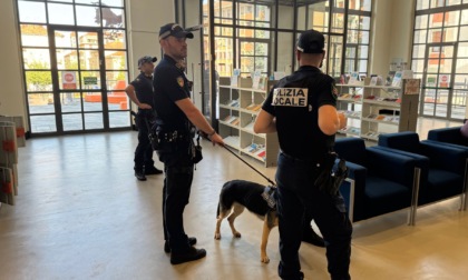 Ubriachi disturbano in biblioteca: intervento della Polizia locale in Piazza Curiel