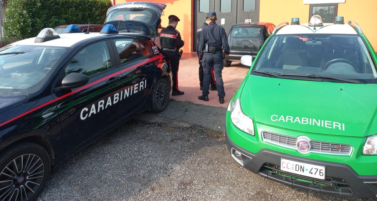 Lavato come un’auto 2