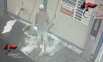 "Lavato" come un’auto: cane soffre sotto la lancia ad alta pressione