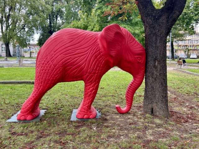 Un elefante rosso al “nuovo” teatro Erios: il 4 ottobre la riapertura