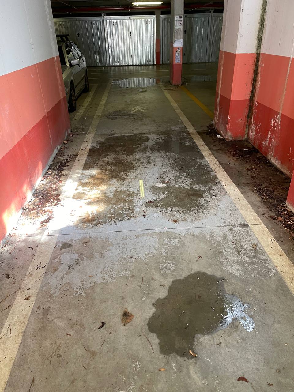 Pozzanghera perenne al Bellone 3