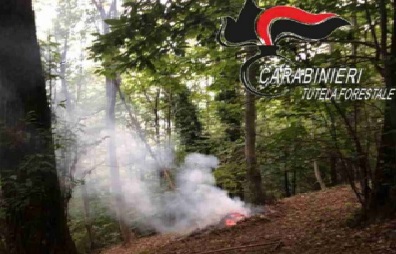 Operazione anti-incendi dolosi: i carabinieri forestali di Sordevolo rintracciano il presunto responsabile di un rogo a Mongrando
