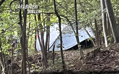 Operazione antidroga dei Carabinieri: cinque persone denunciate