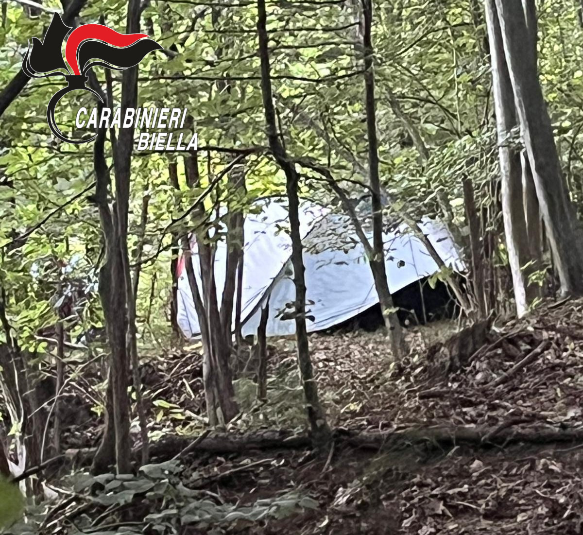 Operazione antidroga dei Carabinieri: cinque persone denunciate